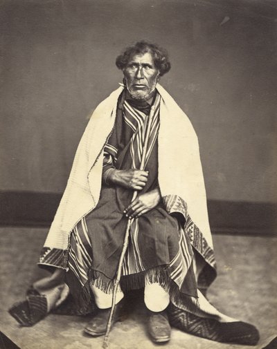 King of Tairoa, c.1860 by John Nicol Crombie